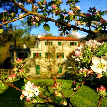 B&B Tre Ponti Castiglione Chiavarese エクステリア 写真