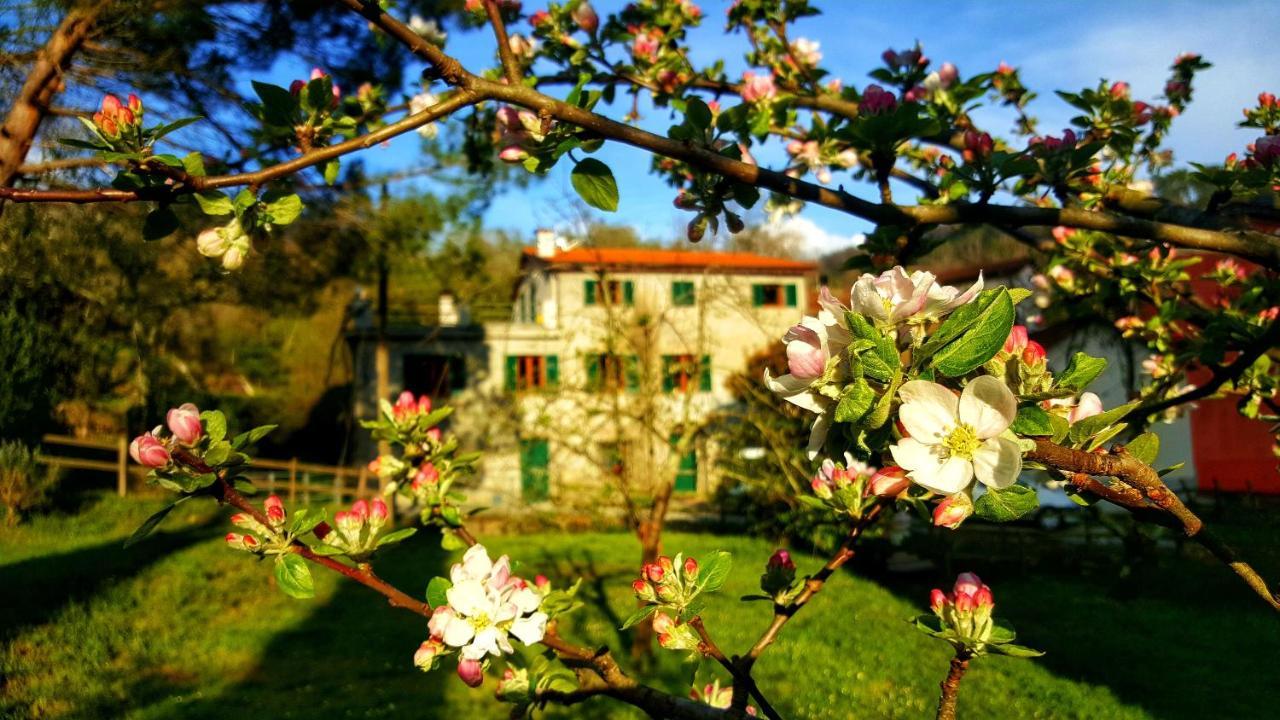 B&B Tre Ponti Castiglione Chiavarese エクステリア 写真